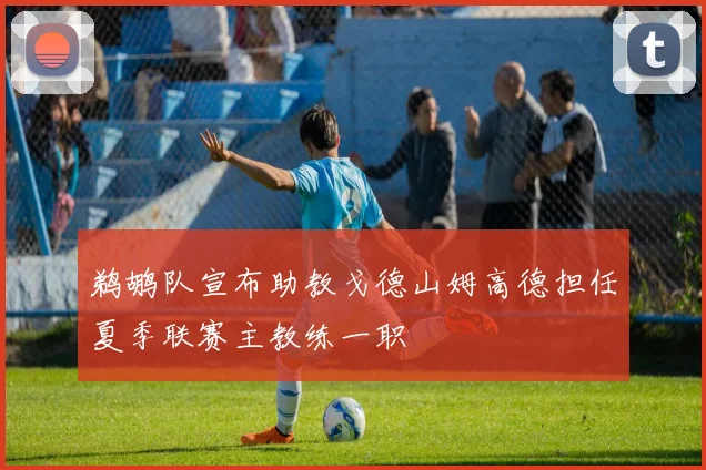 鹈鹕队宣布助教戈德山姆高德担任夏季联赛主教练一职