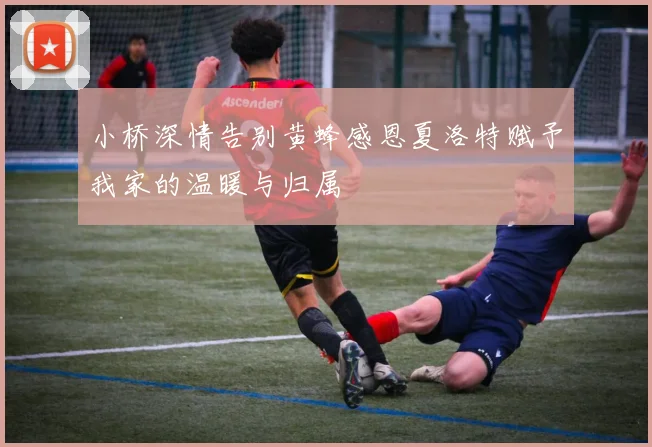 小桥深情告别黄蜂感恩夏洛特赋予我家的温暖与归属